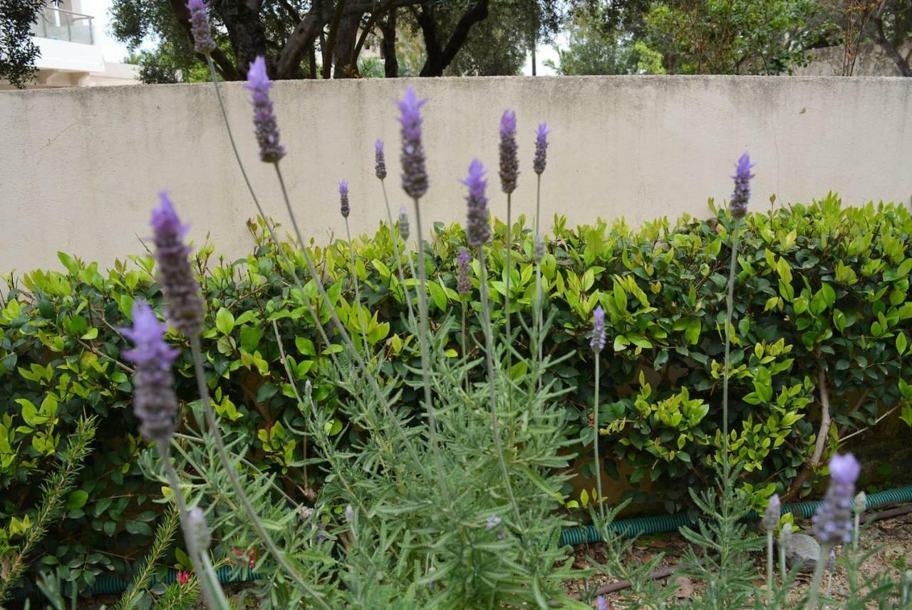 קלמאקי Villa Aretaki מראה חיצוני תמונה